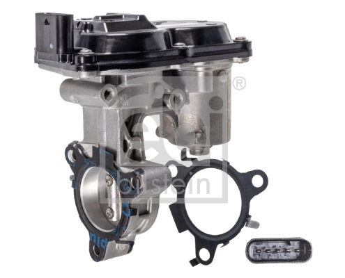 EGR Valve